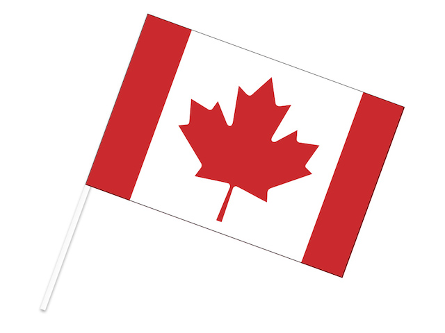 海外限定 国旗 ラブラドール地方 カナダ 特大フラッグ