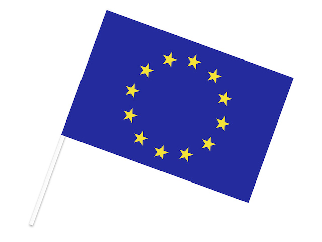 EU（ヨーロッパ連合） 手旗フラッグ 30×45cm ポンジ 手旗フラッグ 国旗専門店 国旗shop